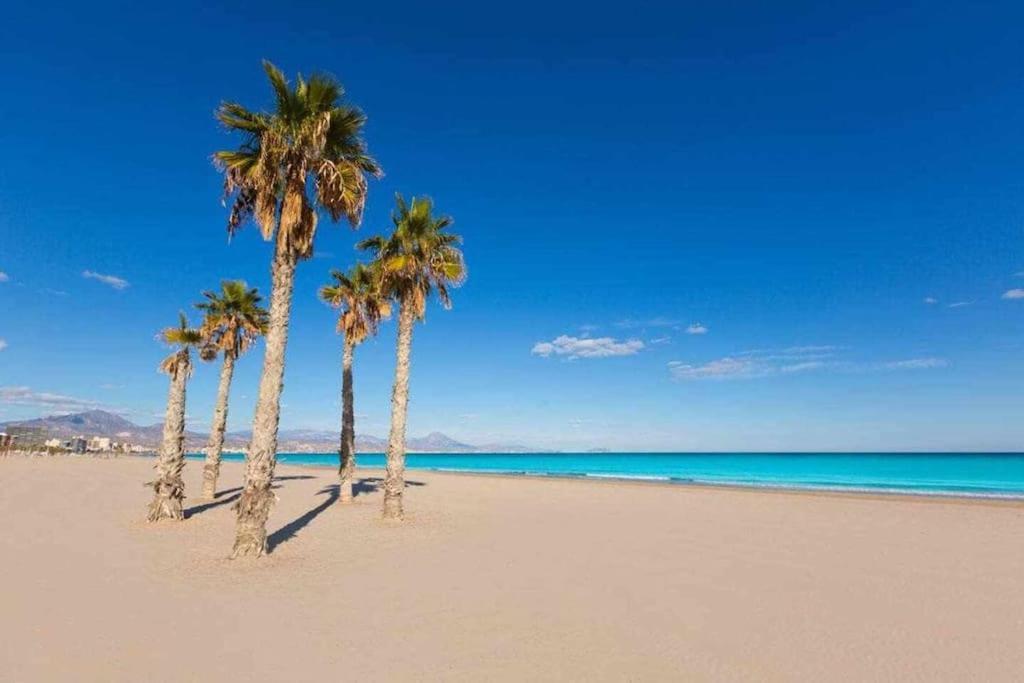 Appartamento Villamar 5 Inmo Leo Playa De San Juan Piscina Parking Wifi