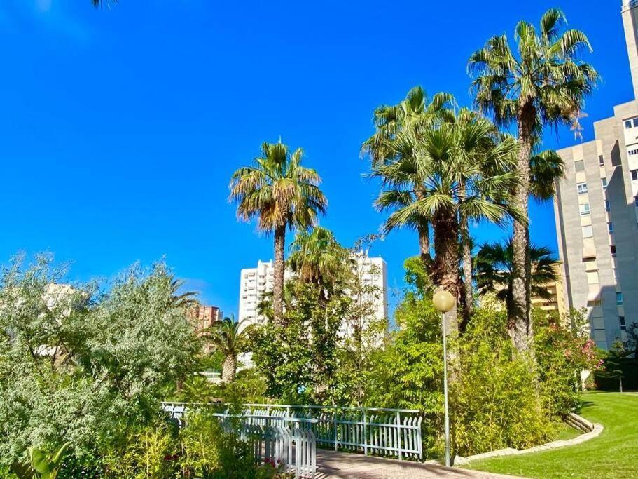 Apartment Villamar 5 Inmo Leo Playa De San Juan Piscina Parking Wifi *